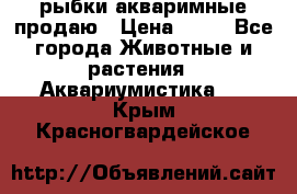 рыбки акваримные продаю › Цена ­ 30 - Все города Животные и растения » Аквариумистика   . Крым,Красногвардейское